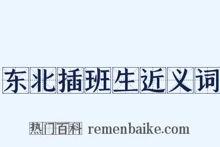 东北插班生近义词是什么意思的图片